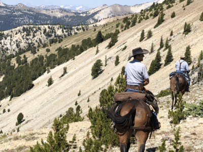 Darwood Outfitting: Windy Peak in pasayten wilderness